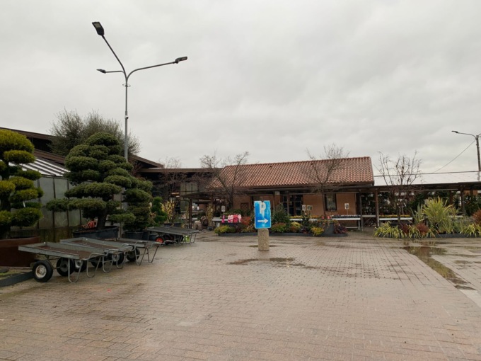 Colpo grosso alla floricoltura