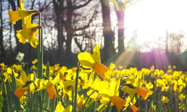 Cosa fare nel weekend di Pasqua in Brianza