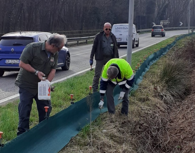 Al via l’operazione salvarospi: al sicuro i bufo bufo al Mirabello