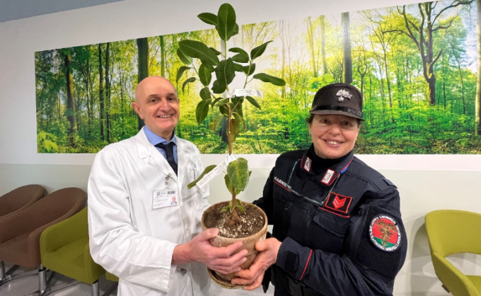 “Un albero per il futuro”: il progetto arriva anche in Brianza