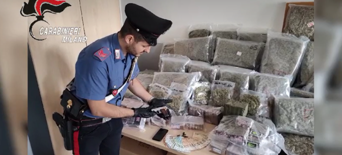 Undici arresti per traffico internazionale di droga