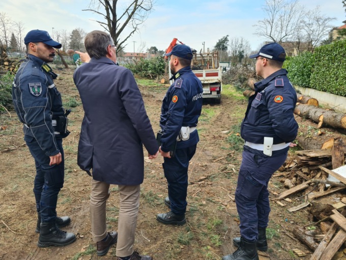 Alberi abbattuti, il Comune ferma i lavori in un cantiere