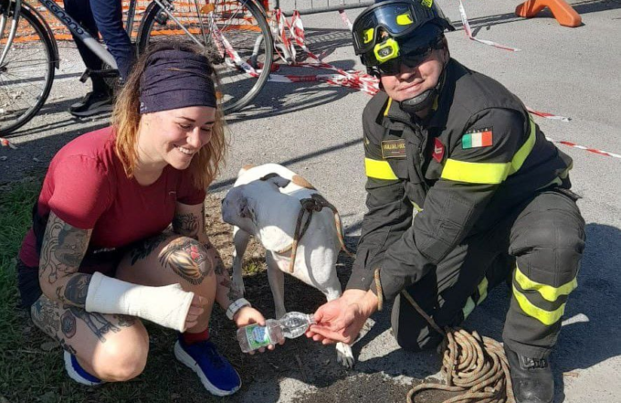 Salvato cagnolino che vagava nel canale