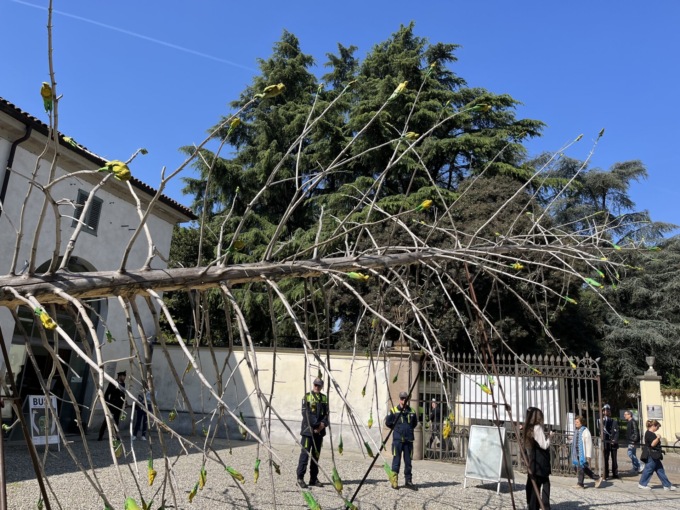 L’Albero dei Tutti consegnato ufficialmente a Vimercate