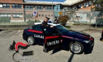 La droga nascosta nell'auto e in tasca 1600 euro in contanti: due arresti