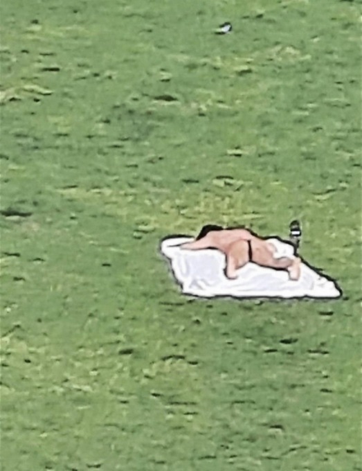 Tintarelle hot al Parco, il consigliere invoca le multe