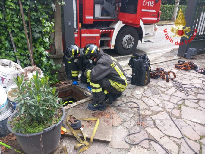 Il cane finisce nel tombino: lo salvano i Vigili del fuoco