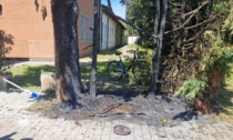 Danno fuoco agli alberi e scappano: vandali in azione in Villa Scaccabarozzi