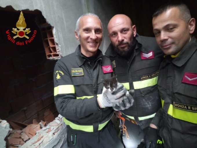 Gattino bloccato in una intercapedine, salvato dai Vigili del Fuoco