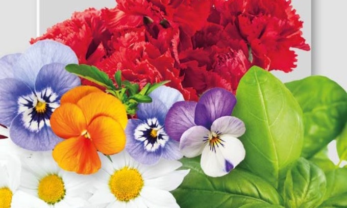 in regalo con i nostri giornali i fiori… da mangiare