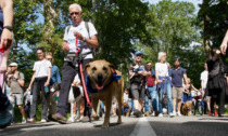 La camminata per i diritti degli animali è un successo