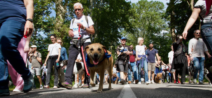 La camminata per i diritti degli animali è un successo
