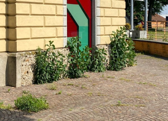 Museo nel degrado: “L’area esterna è abbandonata a sé stessa”