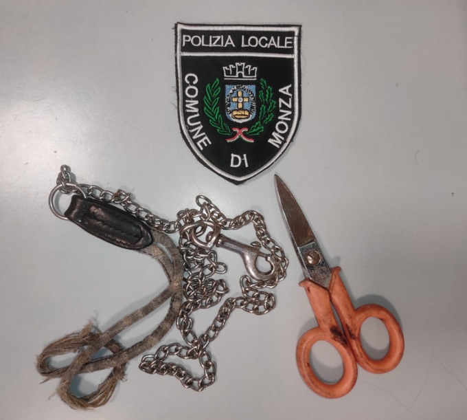 Minacce a suon di forbici e guinzaglio: lite sedata dalla Polizia Locale