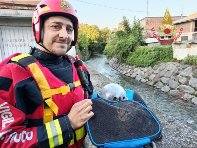 Micio bloccato sull’argine del Seveso, lo salvano i pompieri