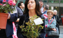 Flash mob davanti a Palazzo Lombardia: consegnati 35 alberi "Uno per ogni chilometro di autostrada che attraverserà la Brianza"