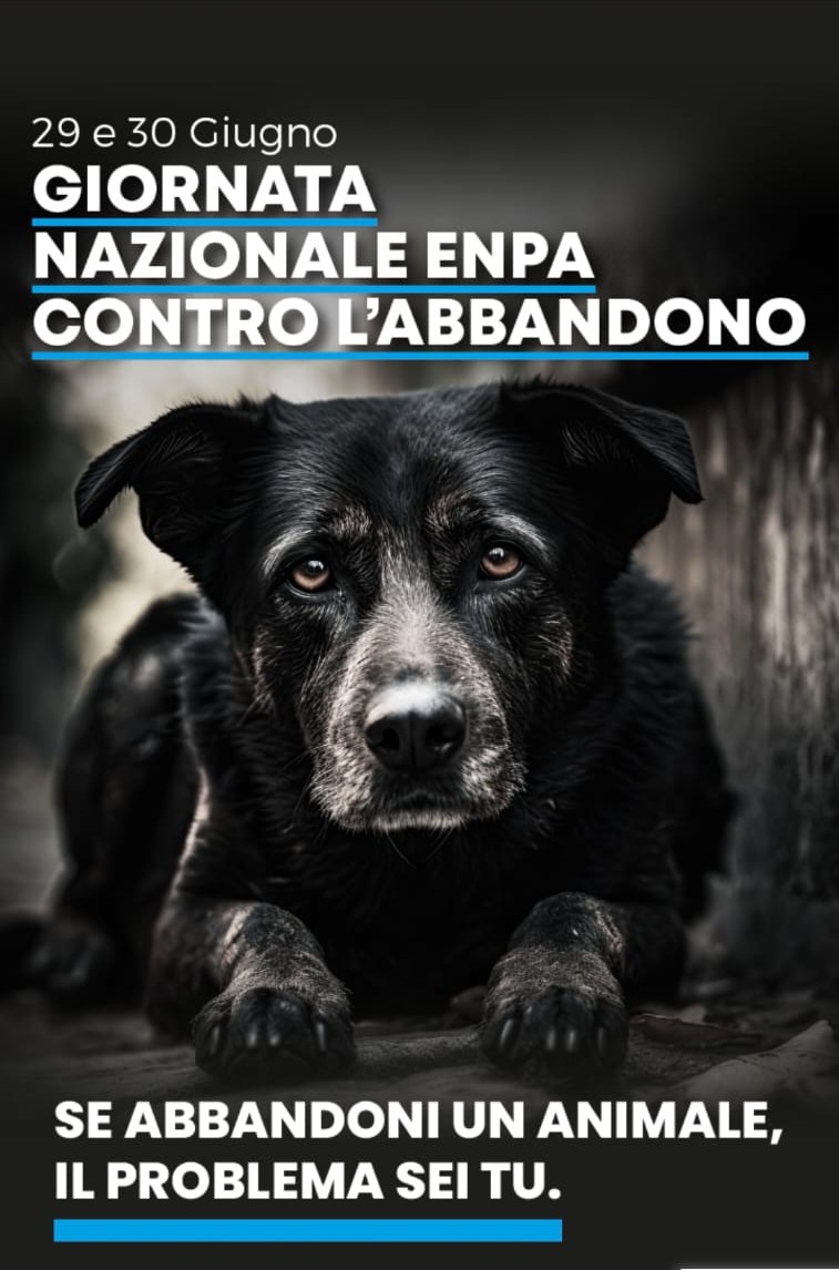 Giornate 29-30 giugno-CANE-bas