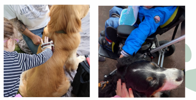 In autunno il corso base per coadiutore del cane