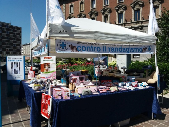 Sabato 29 giugno tutti in piazza contro l’abbandono degli animali