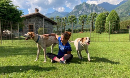 Dopo tre anni in canile, è arrivata una stupenda famiglia per Gighen e Ghemon