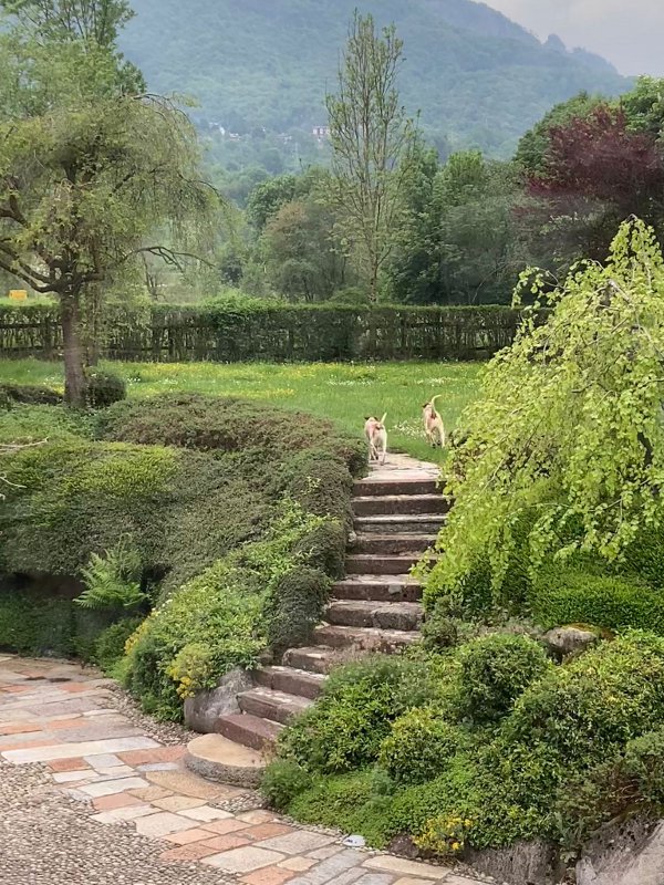 lieto fine G+G--07-fb-giardino
