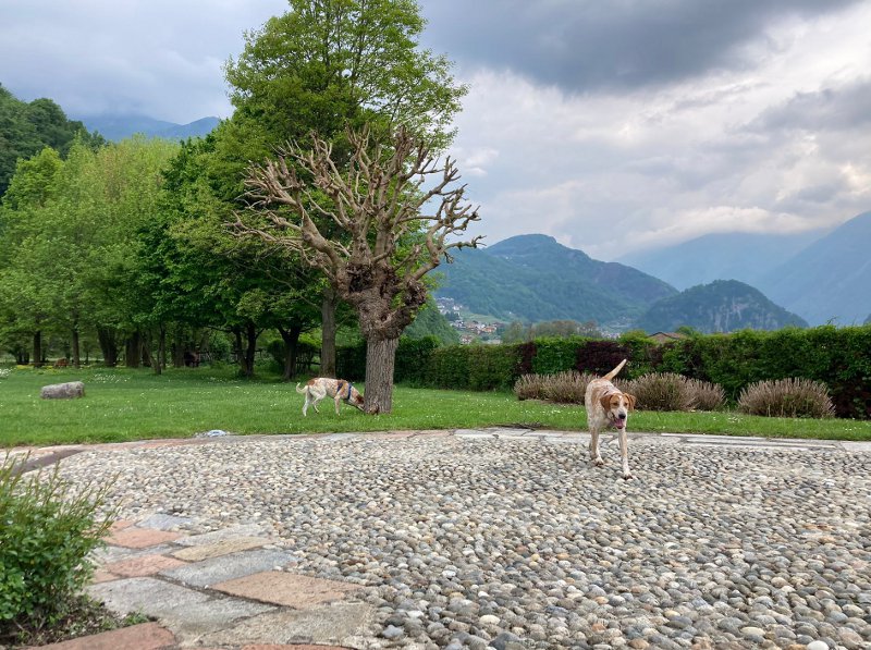lieto fine G+G--08-fb-giardino