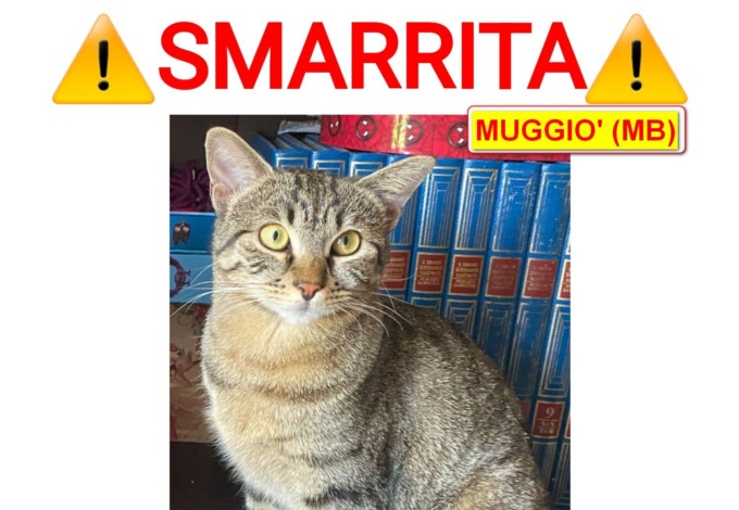 L’appello per ritrovare Shiva, scomparsa da quasi tre mesi