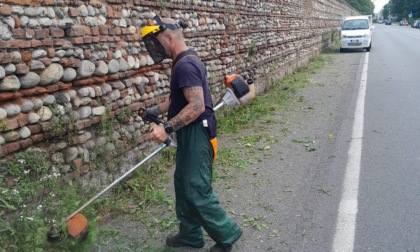 Sfalcio del verde, ecco dove e come si interverrà