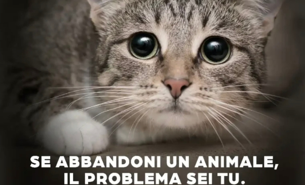 Ceriano tiene alta l’attenzione contro l’abbandono degli animali
