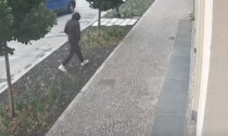 Il video diffuso dai Carabinieri dell'aggressione alla barista a Vimercate