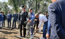 Autodromo: piantato un albero per ogni pilota della F1