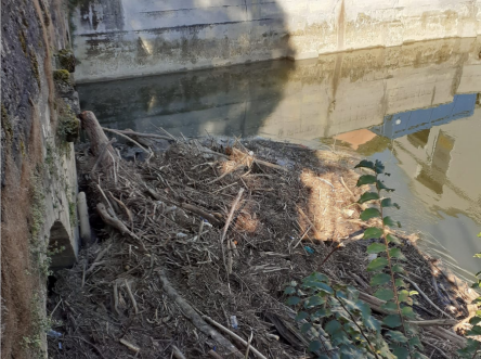 Chiuse del Lambro intasate: oggi i detriti verranno rimossi