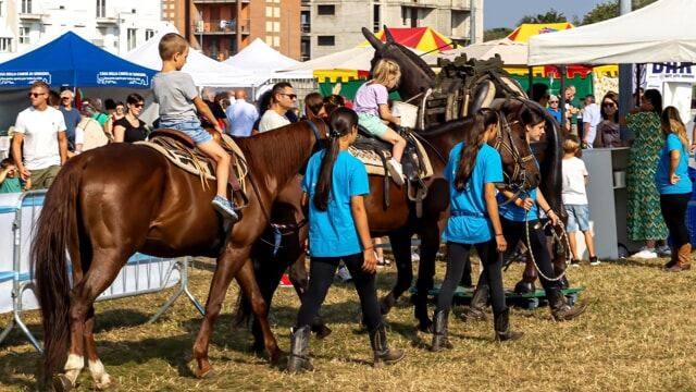 Cosa fare in Brianza nel weekend: gli eventi di sabato 7 e domenica 8 settembre