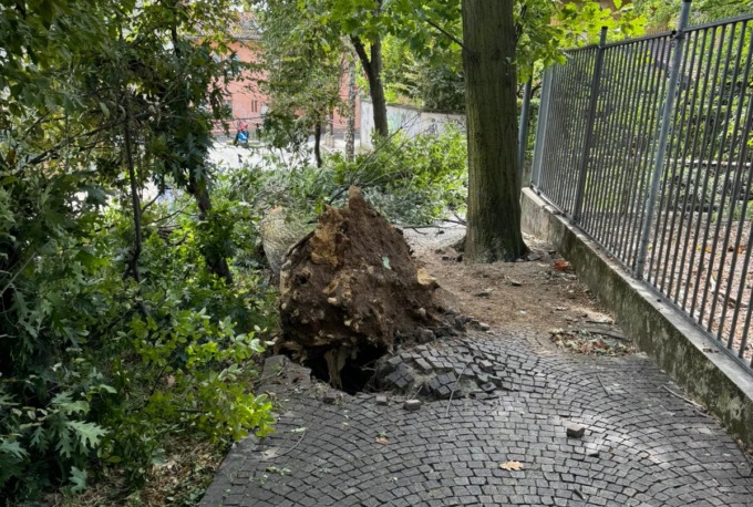 Arcore, cadono tre alberi vicino ad una abitazione dichiarata inagibile: anziano allettato trasferito in Comune