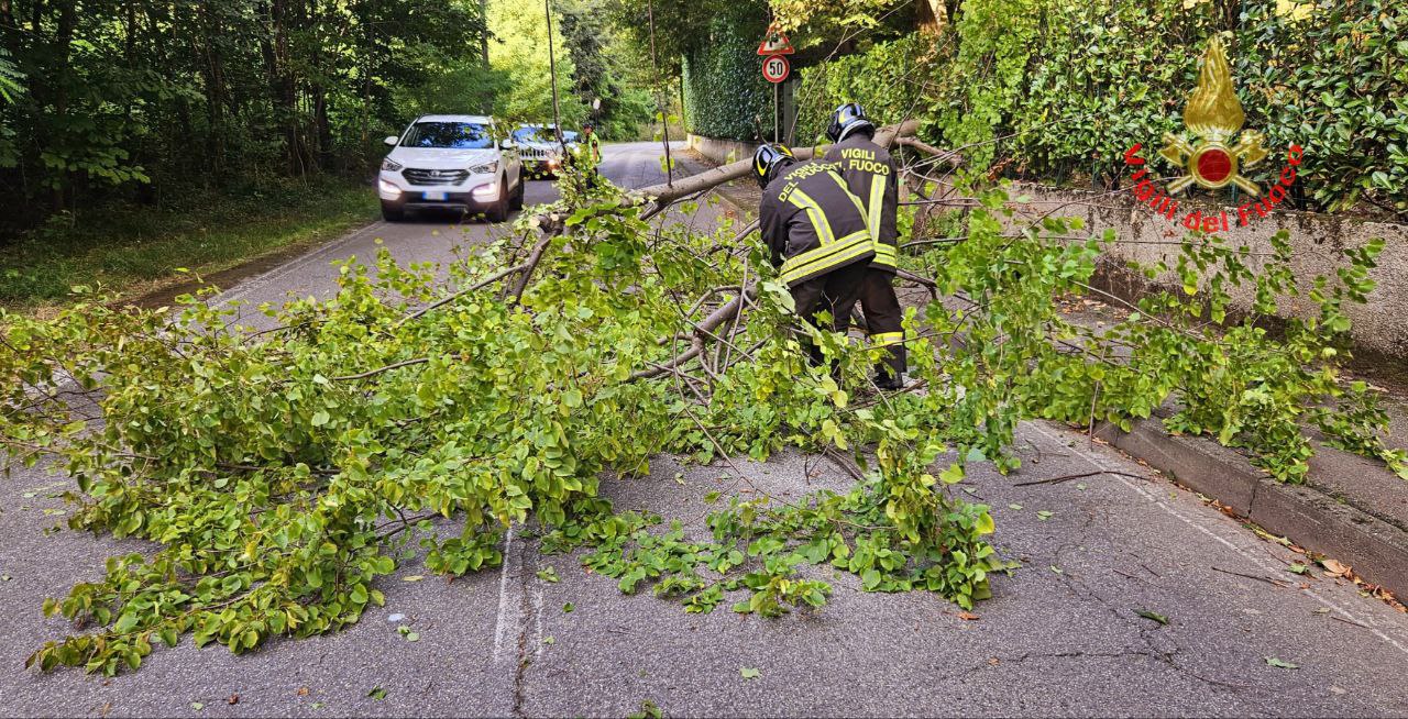 Brianza raffiche di vento interventi vigili del fuoco alberi caduti