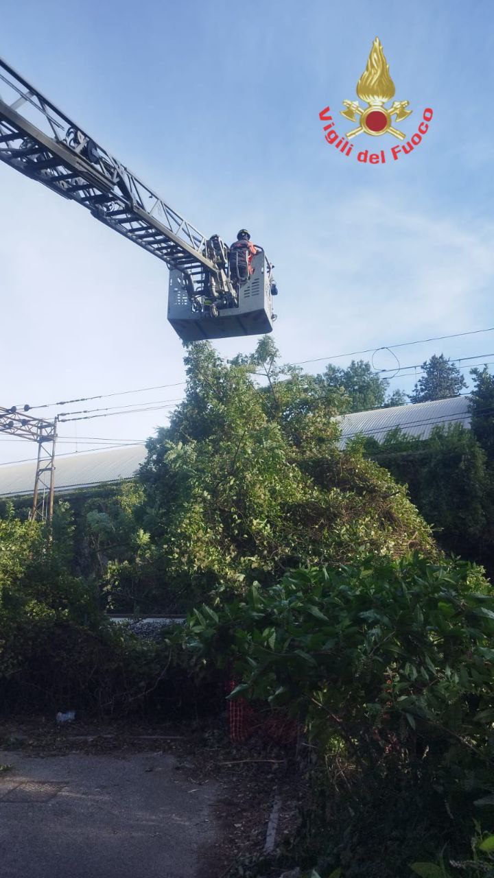 Brianza raffiche di vento interventi vigili del fuoco alberi caduti