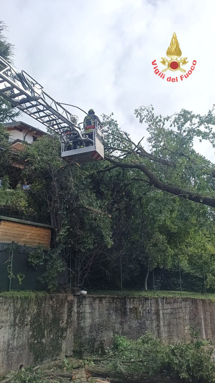 Brianza raffiche di vento interventi vigili del fuoco alberi caduti