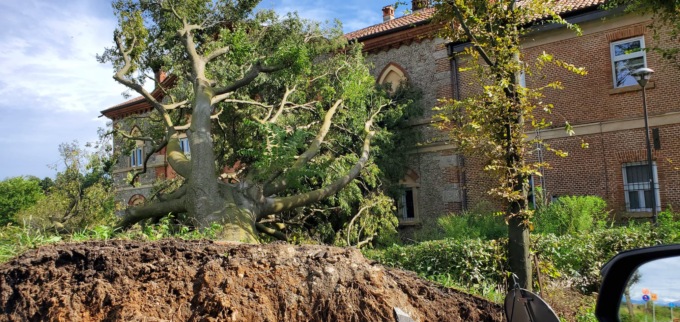 Grossa pianta si abbatte su Villa Jacini