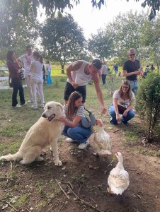 benedizione-2023-animali