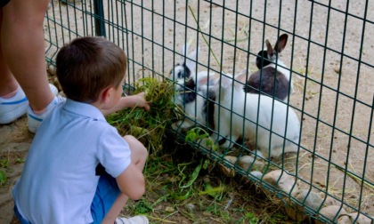 Giornata degli animali: domenica 6 ottobre grande festa al Rifugio Enpa