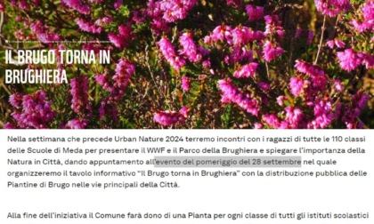 "Il brugo torna in Brughiera", al via a Meda la Settimana della natura