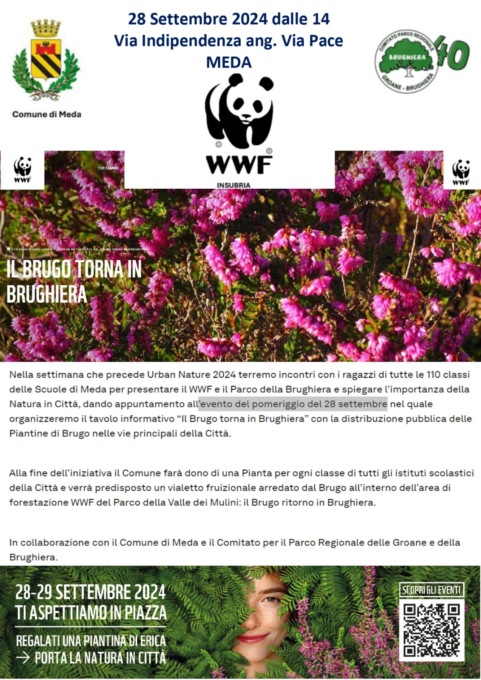 “Il brugo torna in Brughiera”, al via a Meda la Settimana della natura