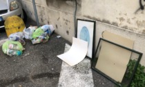 Rifiuti e topi in via Petrarca a Desio: "E' intollerabile"