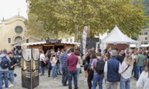 Mostra del Bitto: a Morbegno, in Valtellina, patria di formaggi dal sapore antico