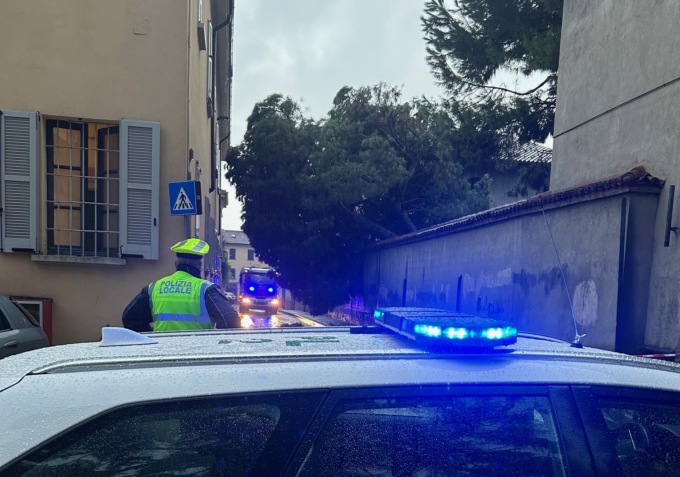 Maltempo a Carate Brianza, caduta una pianta in via Romagnosi
