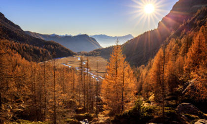 Valtellina d'autunno: la magia del foliage, il bramito del cervo, la vendemmia e molto di più