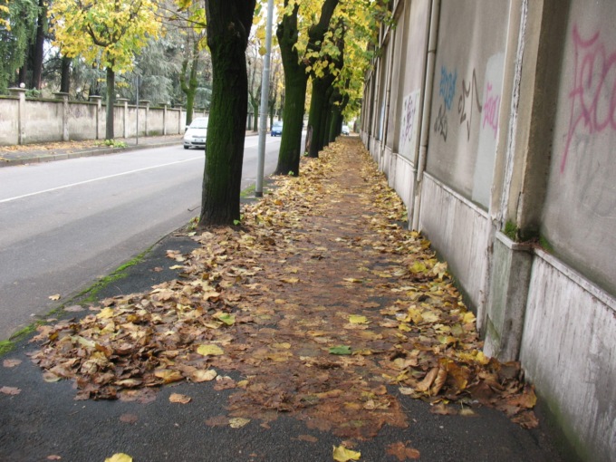 Servizio di pulizia strade rafforzato a Vimercate