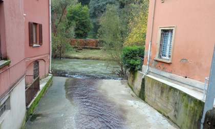 La Brovada scende ancora viola