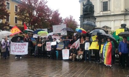 "Stop bombing Gaza", flashmob per l'apicoltore multato