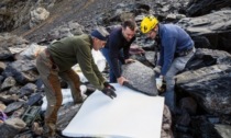 Scoperti fossili risalenti a 280 milioni di anni fa. Il paleontologo concorezzese Dal Sasso "Giacimento ricchissimo"